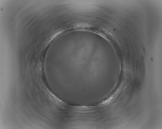 X0000066541401200603171229