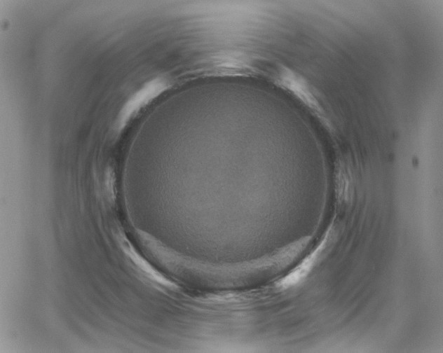 X0000066541402200603171229