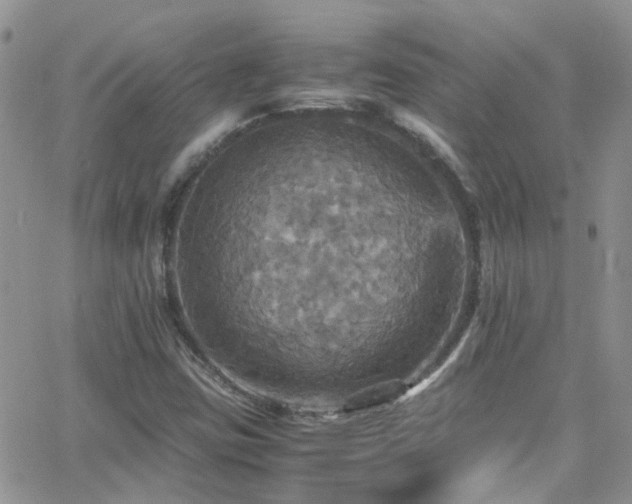 X0000066541403200603171229