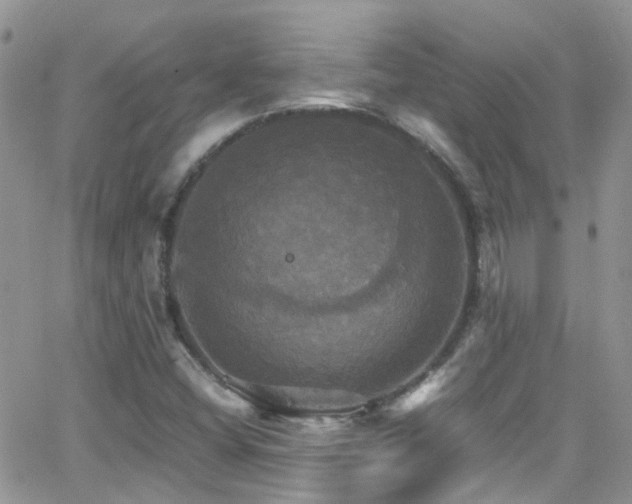 X0000066541404200603171229