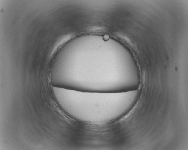 X0000066541405200603171229