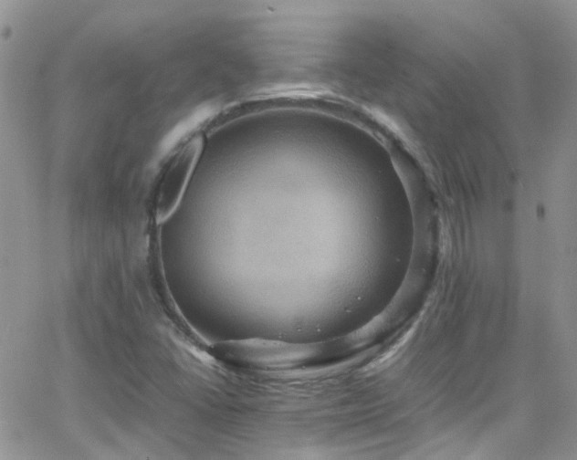 X0000066541406200603171229