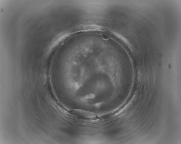 X0000066541407200603171229