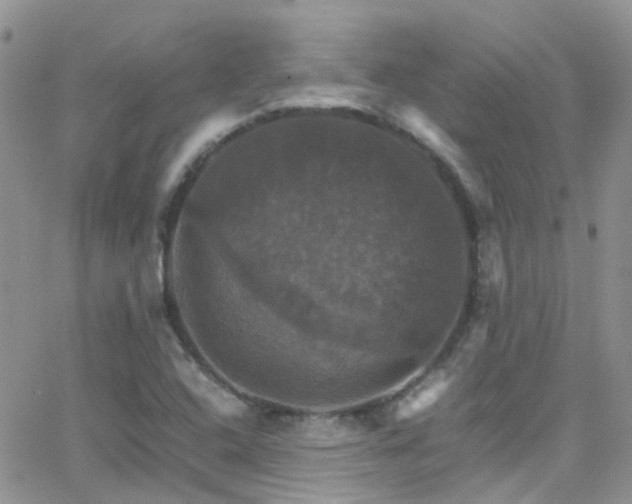 X0000066541408200603171229