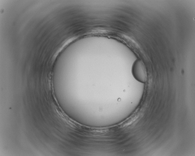 X0000066541409200603171229