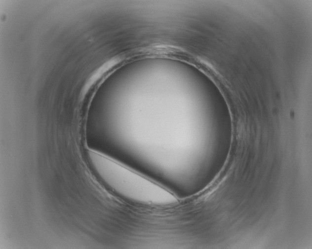 X0000066541410200603171229