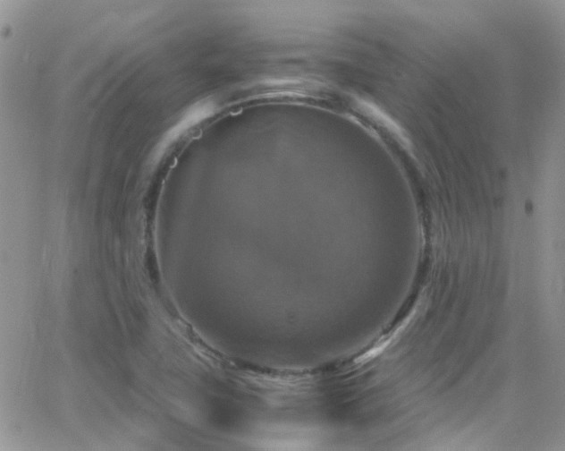 X0000066541411200603171229