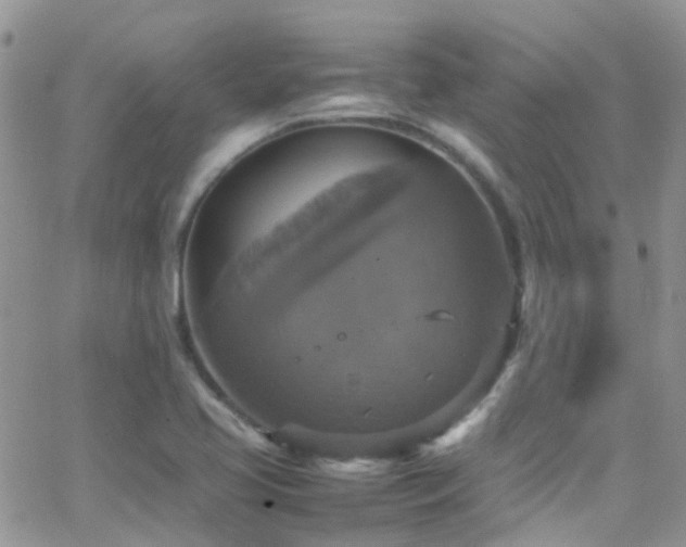 X0000066541413200603171229