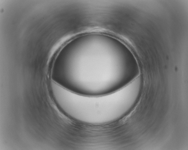 X0000066541414200603171229