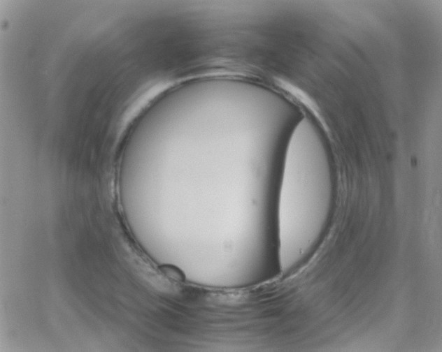 X0000066541415200603171229