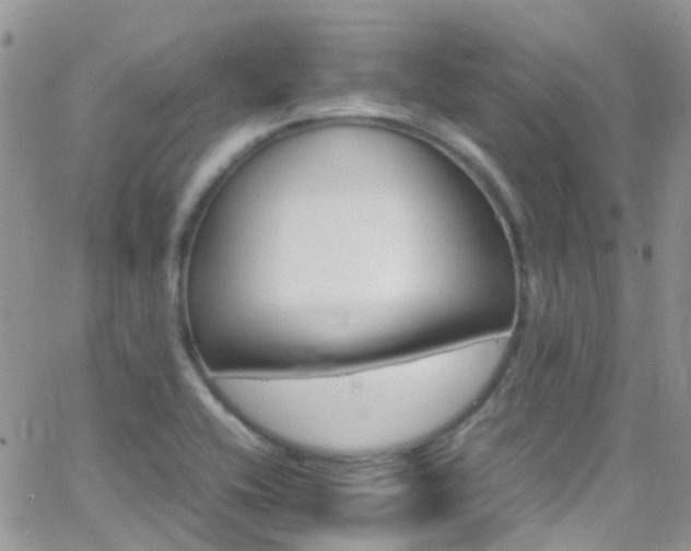 X0000066541416200603171229