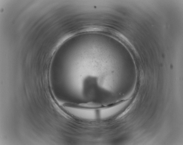 X0000066541417200603171229