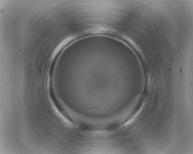 X0000066541418200603171229