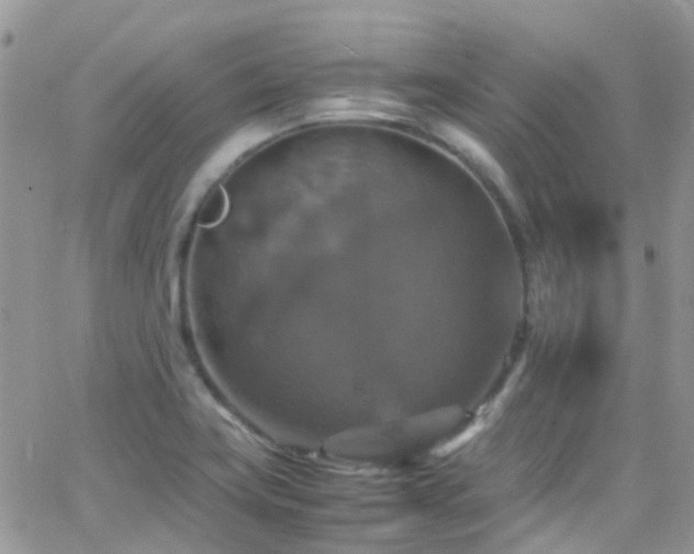 X0000066541419200603171229