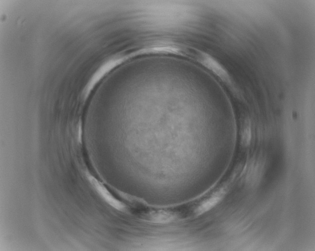 X0000066541420200603171229