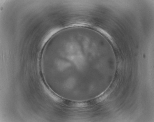 X0000066541423200603171229