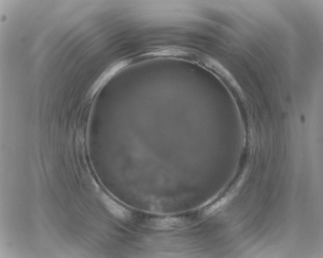 X0000066541425200603171229