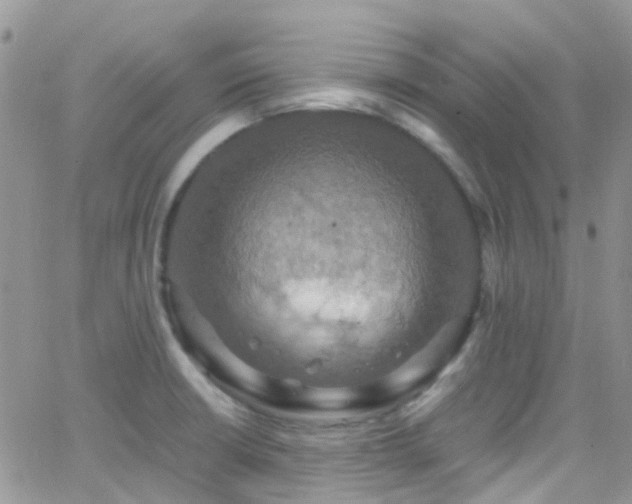 X0000066541426200603171229