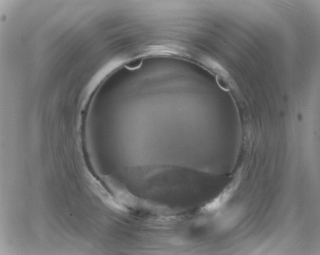 X0000066541427200603171229