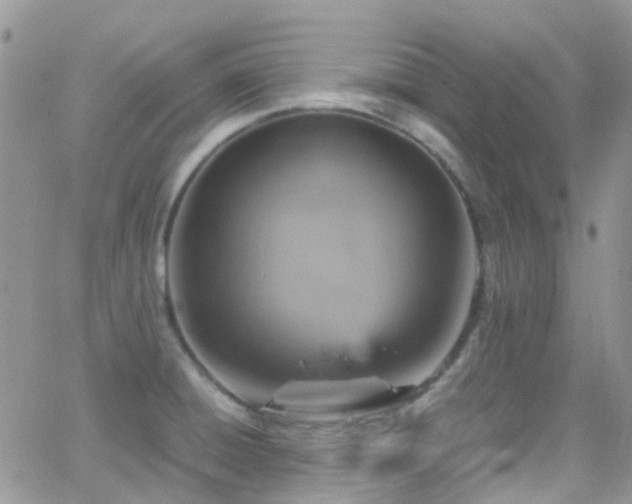 X0000066541428200603171229