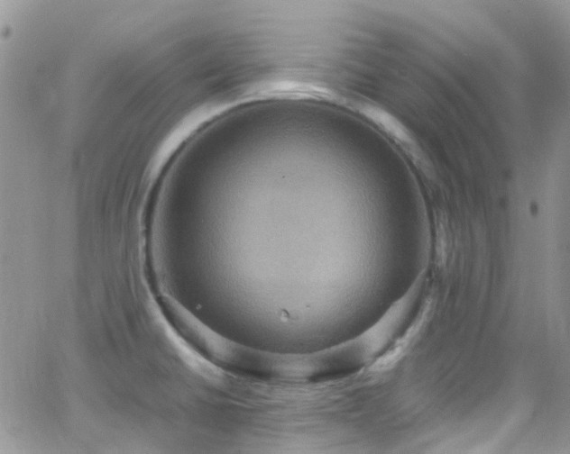 X0000066541430200603171229