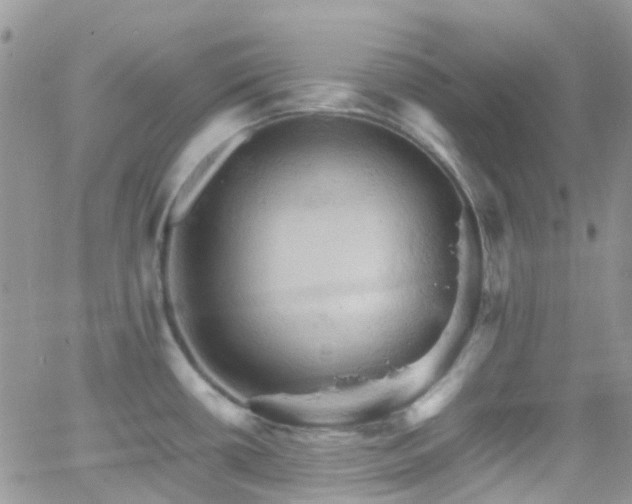 X0000066541434200603171229