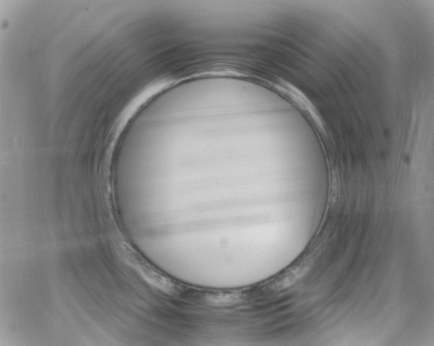 X0000066541435200603171229