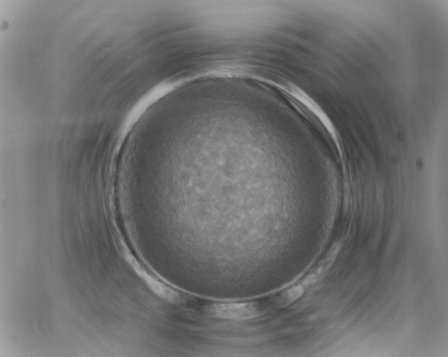 X0000066541437200603171229