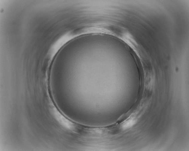 X0000066541438200603171229