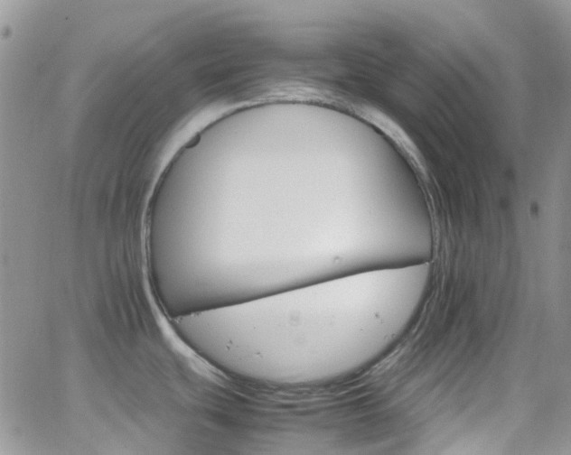 X0000066541439200603171230