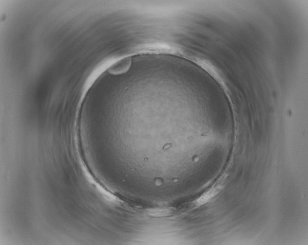 X0000066541440200603171230