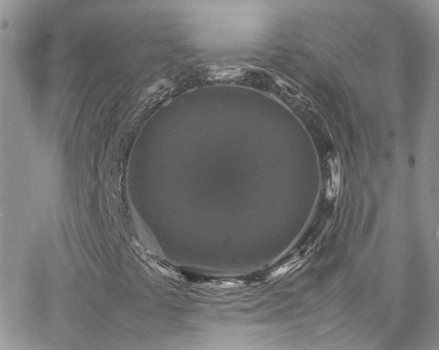 X0000066541441200603171229