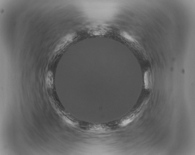 X0000066541443200603171229