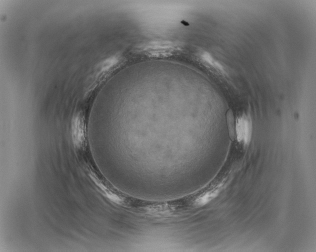 X0000066541444200603171229