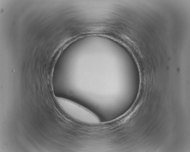 X0000066541449200603171229