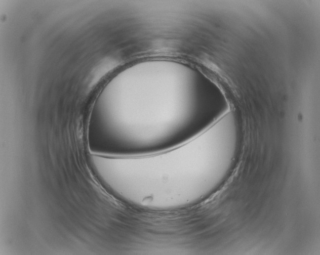 X0000066541450200603171229