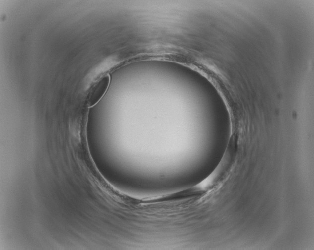 X0000066541451200603171229