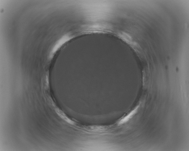 X0000066541453200603171229