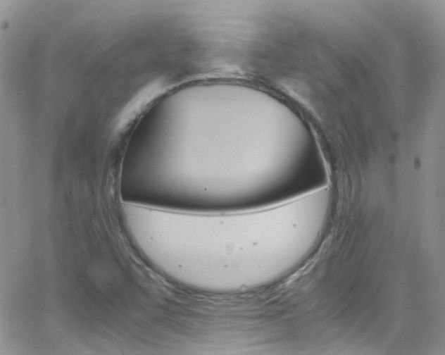 X0000066541455200603171229