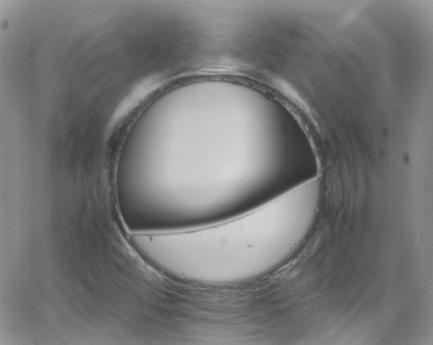 X0000066541456200603171229