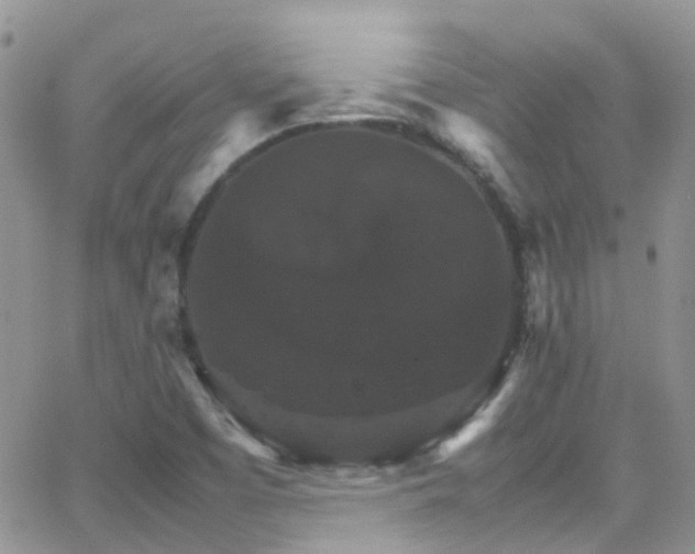 X0000066541457200603171228