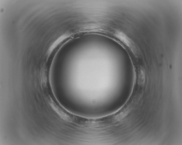 X0000066541458200603171228