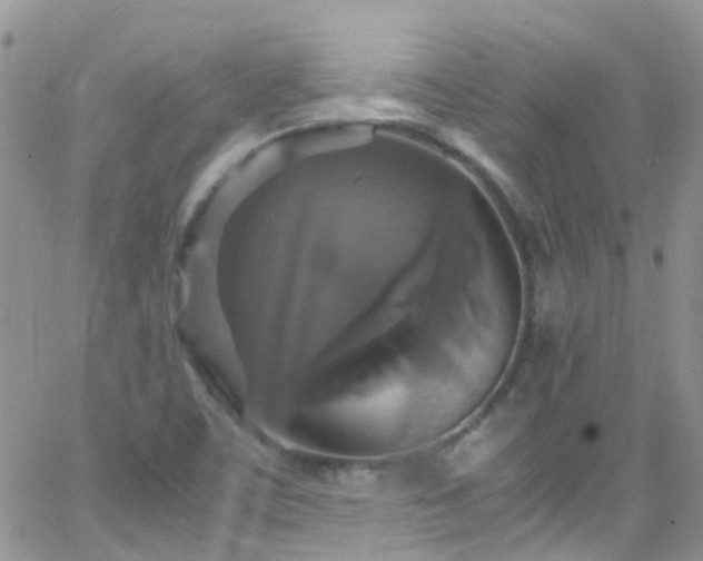 X0000066541459200603171228