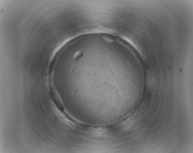 X0000066541460200603171228