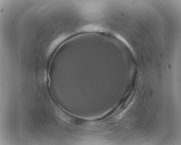 X0000066541461200603171228