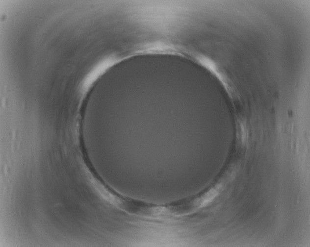 X0000066541463200603171228