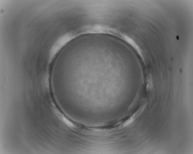 X0000066541464200603171228