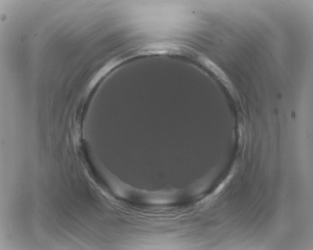 X0000066541465200603171228