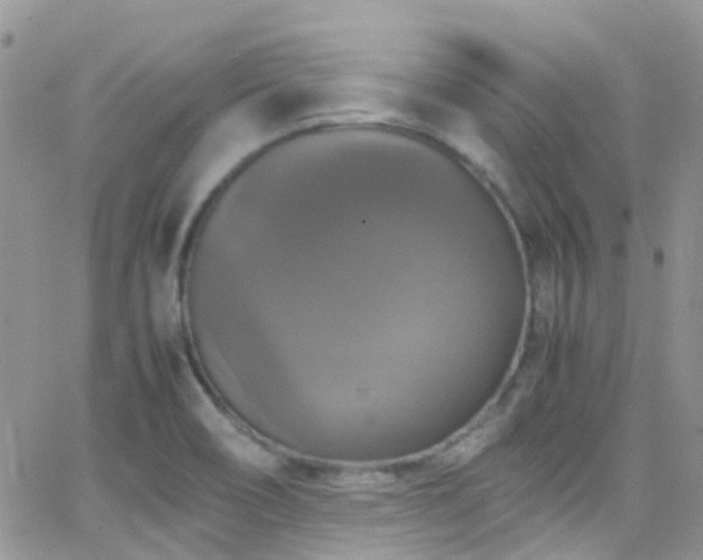 X0000066541466200603171228