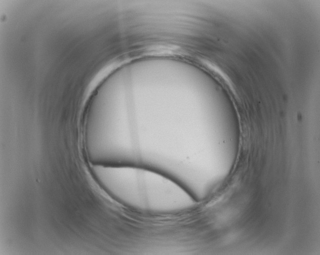 X0000066541467200603171228